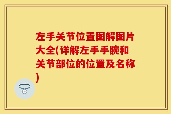 左手关节位置图解图片大全(详解左手手腕和关节部位的位置及名称)