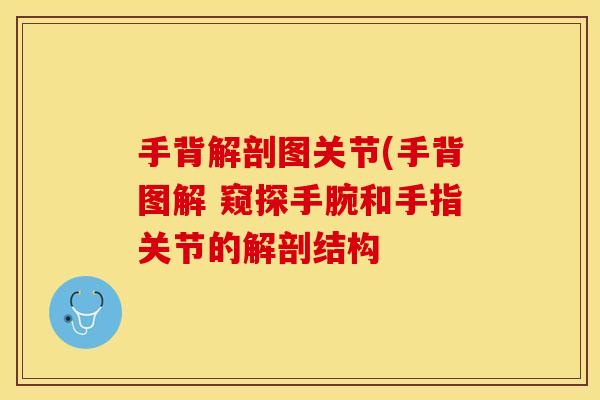 手背解剖图关节(手背图解 窥探手腕和手指关节的解剖结构