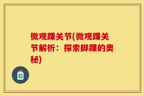 微观踝关节(微观踝关节解析：探索脚踝的奥秘)