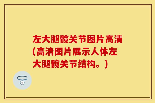 左大腿髋关节图片高清(高清图片展示人体左大腿髋关节结构。)