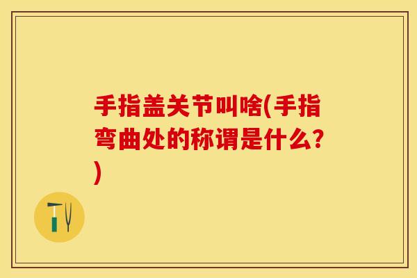 手指盖关节叫啥(手指弯曲处的称谓是什么？)