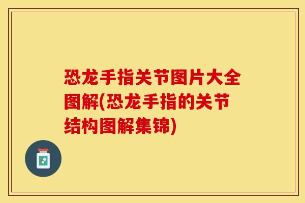 恐龙手指关节图片大全图解(恐龙手指的关节结构图解集锦)