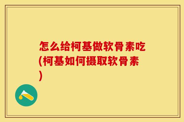 怎么给柯基做软骨素吃(柯基如何摄取软骨素)