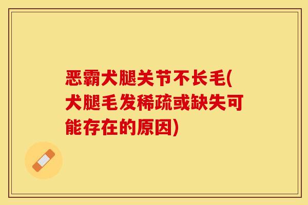 恶霸犬腿关节不长毛(犬腿毛发稀疏或缺失可能存在的原因)