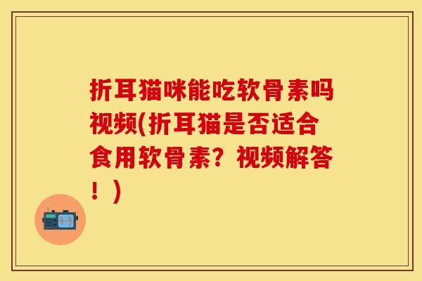 折耳猫咪能吃软骨素吗视频(折耳猫是否适合食用软骨素？视频解答！)