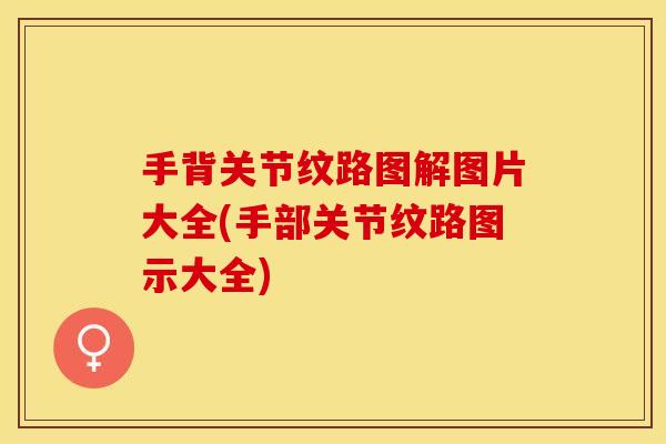 手背关节纹路图解图片大全(手部关节纹路图示大全)
