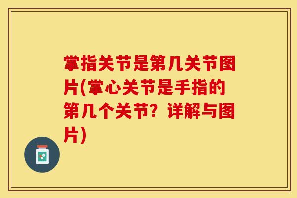 掌指关节是第几关节图片(掌心关节是手指的第几个关节？详解与图片)