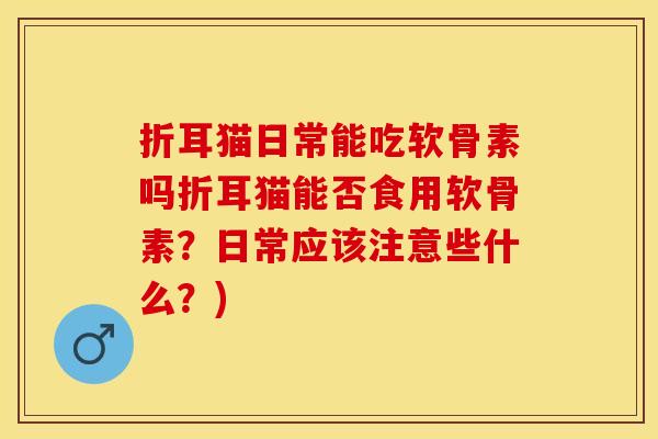 折耳猫日常能吃软骨素吗折耳猫能否食用软骨素？日常应该注意些什么？)