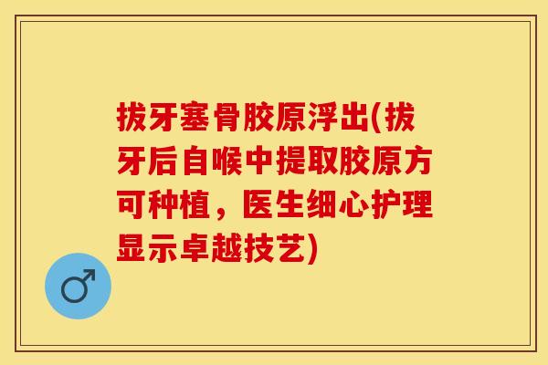 拔牙塞骨胶原浮出(拔牙后自喉中提取胶原方可种植，医生细心护理显示卓越技艺)
