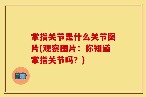 掌指关节是什么关节图片(观察图片：你知道掌指关节吗？)
