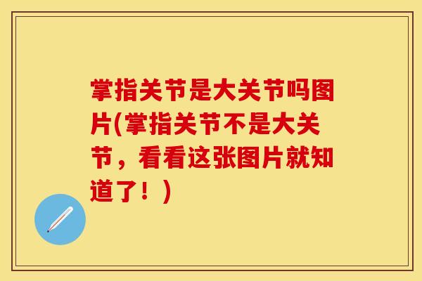掌指关节是大关节吗图片(掌指关节不是大关节，看看这张图片就知道了！)