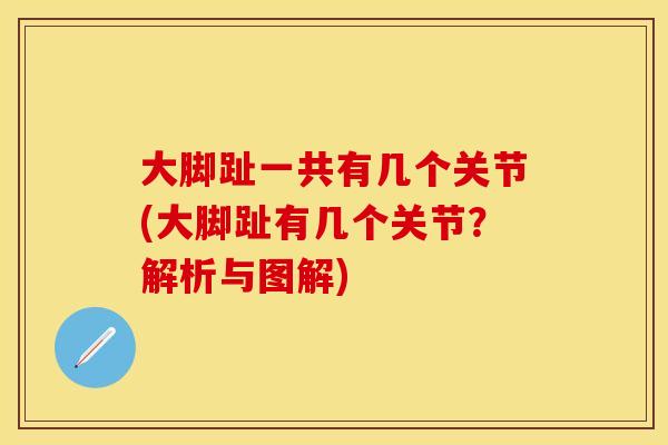 大脚趾一共有几个关节(大脚趾有几个关节？解析与图解)-第1张图片-关节保镖