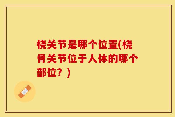 桡关节是哪个位置(桡骨关节位于人体的哪个部位？)