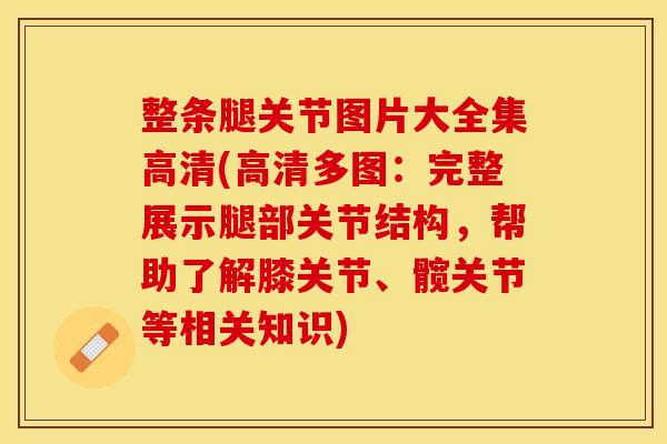 整条腿关节图片大全集高清(高清多图：完整展示腿部关节结构，帮助了解膝关节、髋关节等相关知识)-第1张图片-关节保镖