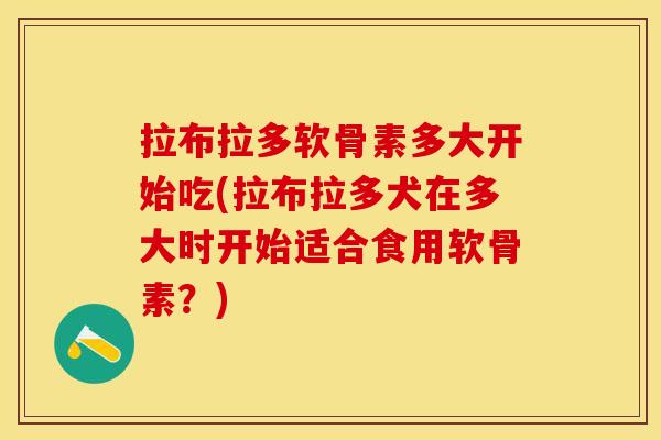 拉布拉多软骨素多大开始吃(拉布拉多犬在多大时开始适合食用软骨素？)