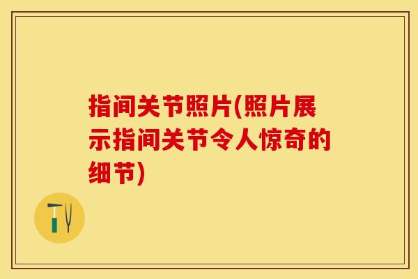 指间关节照片(照片展示指间关节令人惊奇的细节)