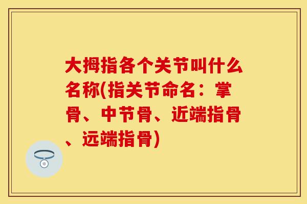 大拇指各个关节叫什么名称(指关节命名：掌骨、中节骨、近端指骨、远端指骨)