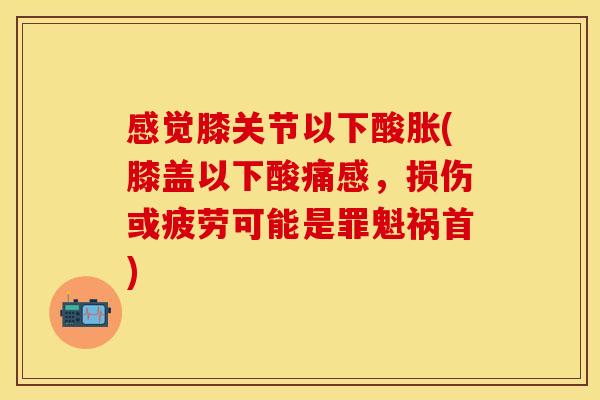 感觉膝关节以下酸胀(膝盖以下酸痛感，损伤或疲劳可能是罪魁祸首)