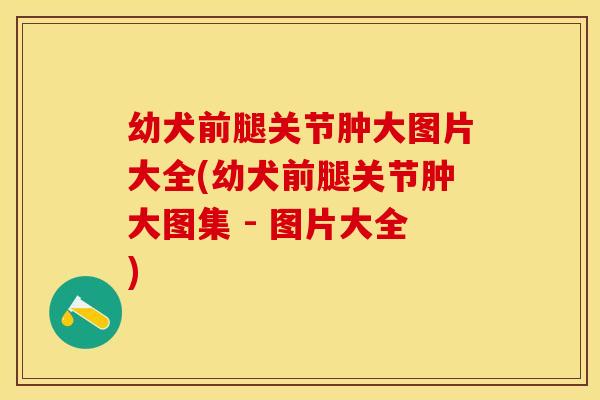 幼犬前腿关节肿大图片大全(幼犬前腿关节肿大图集 - 图片大全)