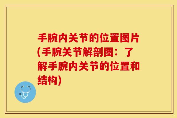 手腕内关节的位置图片(手腕关节解剖图：了解手腕内关节的位置和结构)