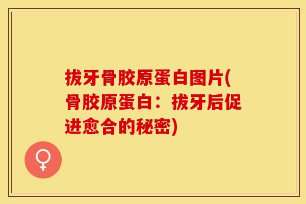 拔牙骨胶原蛋白图片(骨胶原蛋白：拔牙后促进愈合的秘密)