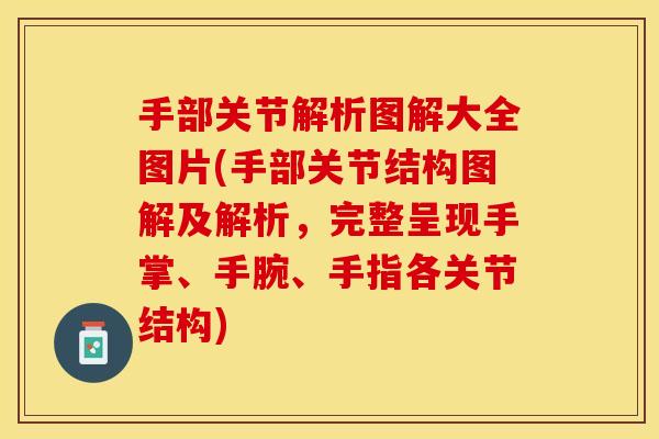 手部关节解析图解大全图片(手部关节结构图解及解析，完整呈现手掌、手腕、手指各关节结构)