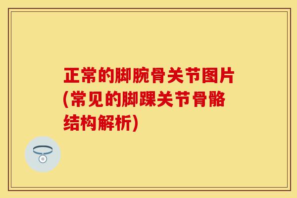 正常的脚腕骨关节图片(常见的脚踝关节骨骼结构解析)