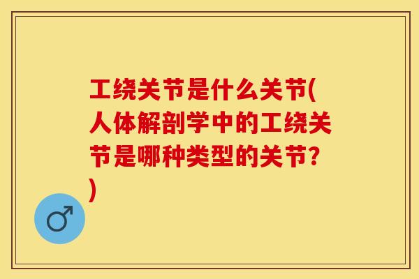 工绕关节是什么关节(人体解剖学中的工绕关节是哪种类型的关节？)