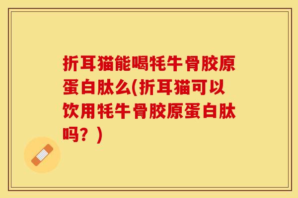 折耳猫能喝牦牛骨胶原蛋白肽么(折耳猫可以饮用牦牛骨胶原蛋白肽吗？)