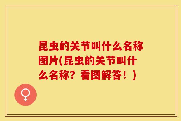 昆虫的关节叫什么名称图片(昆虫的关节叫什么名称？看图解答！)