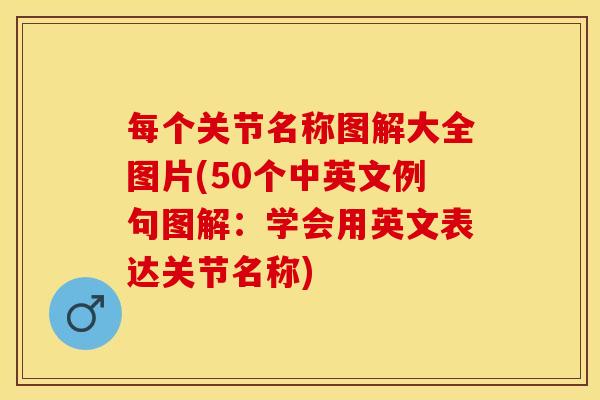 每个关节名称图解大全图片(50个中英文例句图解：学会用英文表达关节名称)