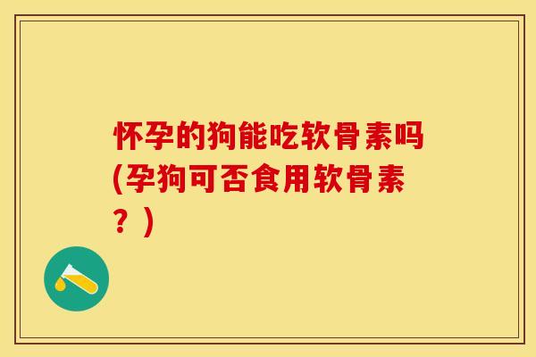 怀孕的狗能吃软骨素吗(孕狗可否食用软骨素？)