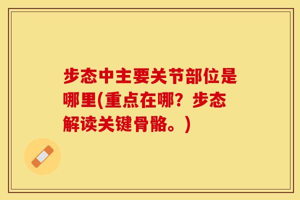 步态中主要关节部位是哪里(重点在哪？步态解读关键骨骼。)