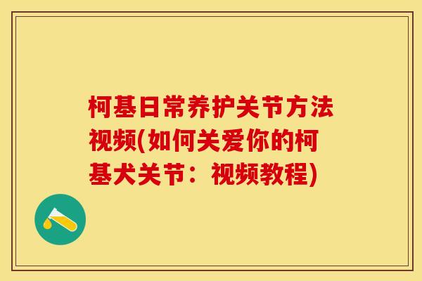 柯基日常养护关节方法视频(如何关爱你的柯基犬关节：视频教程)