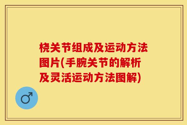 桡关节组成及运动方法图片(手腕关节的解析及灵活运动方法图解)
