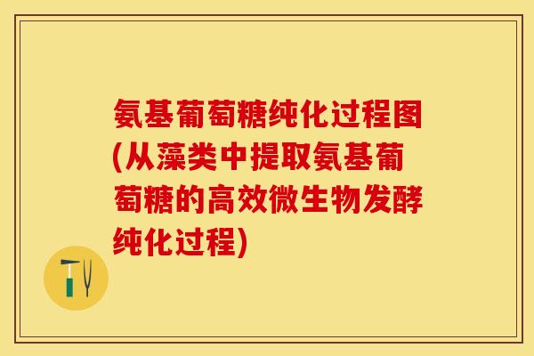 氨基葡萄糖纯化过程图(从藻类中提取氨基葡萄糖的高效微生物发酵纯化过程)
