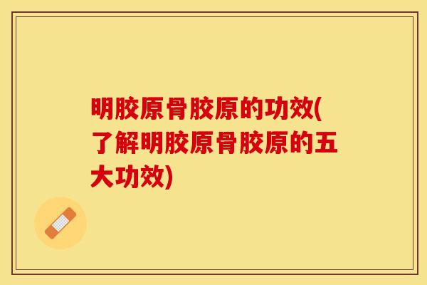 明胶原骨胶原的功效(了解明胶原骨胶原的五大功效)