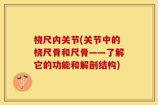 桡尺内关节(关节中的桡尺骨和尺骨——了解它的功能和解剖结构)
