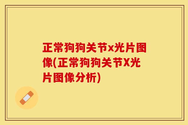 正常狗狗关节x光片图像(正常狗狗关节X光片图像分析)