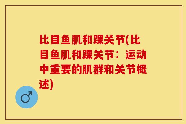 比目鱼肌和踝关节(比目鱼肌和踝关节：运动中重要的肌群和关节概述)