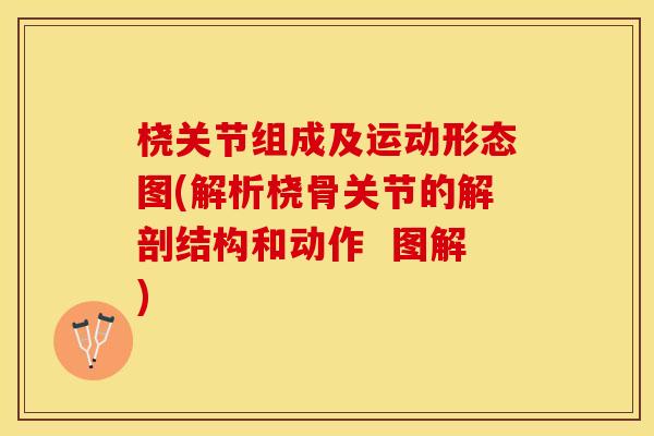 桡关节组成及运动形态图(解析桡骨关节的解剖结构和动作  图解)