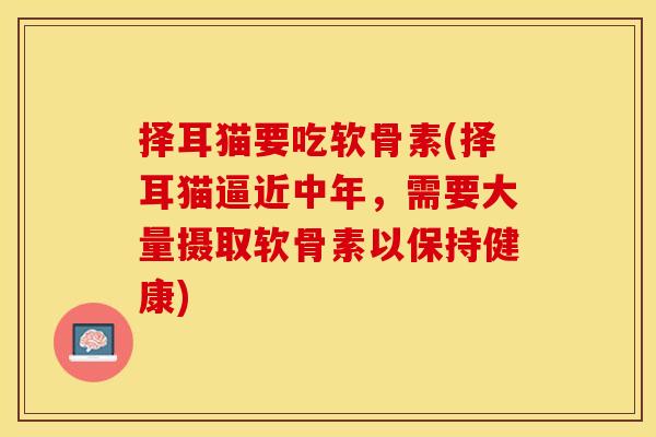择耳猫要吃软骨素(择耳猫逼近中年，需要大量摄取软骨素以保持健康)