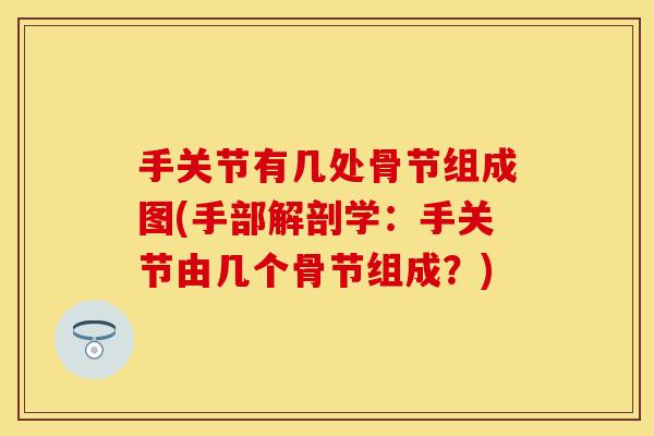 手关节有几处骨节组成图(手部解剖学：手关节由几个骨节组成？)