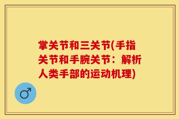 掌关节和三关节(手指关节和手腕关节：解析人类手部的运动机理)