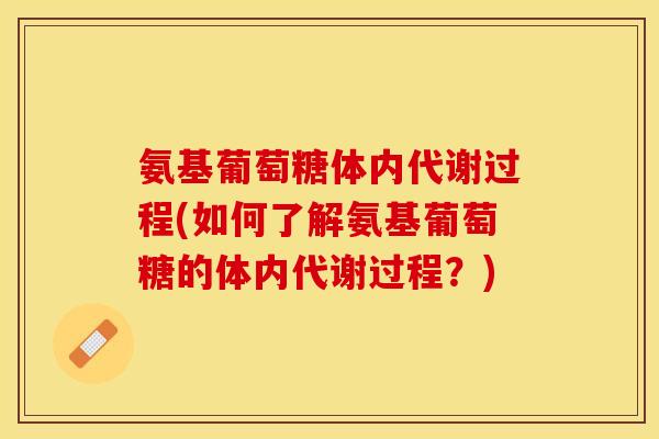 氨基葡萄糖体内代谢过程(如何了解氨基葡萄糖的体内代谢过程？)