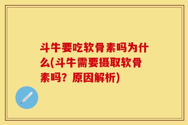 斗牛要吃软骨素吗为什么(斗牛需要摄取软骨素吗？原因解析)