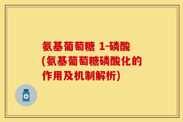 氨基葡萄糖 1-磷酸(氨基葡萄糖磷酸化的作用及机制解析)