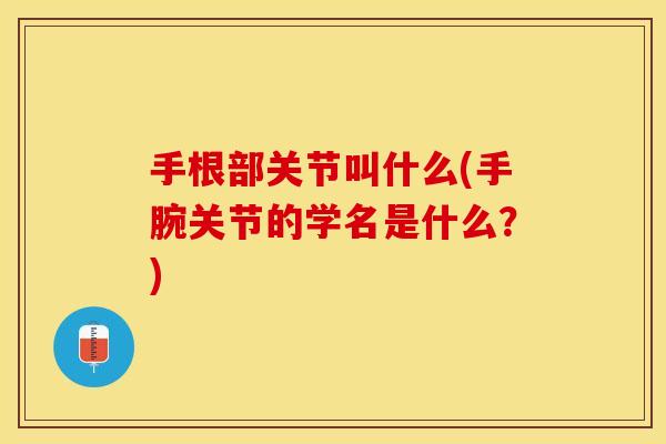 手根部关节叫什么(手腕关节的学名是什么？)