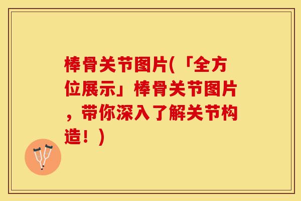 棒骨关节图片(「全方位展示」棒骨关节图片，带你深入了解关节构造！)