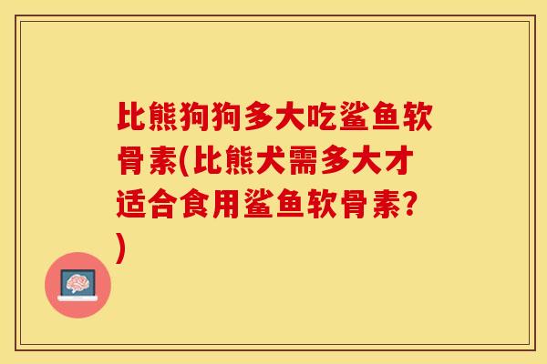 比熊狗狗多大吃鲨鱼软骨素(比熊犬需多大才适合食用鲨鱼软骨素？)